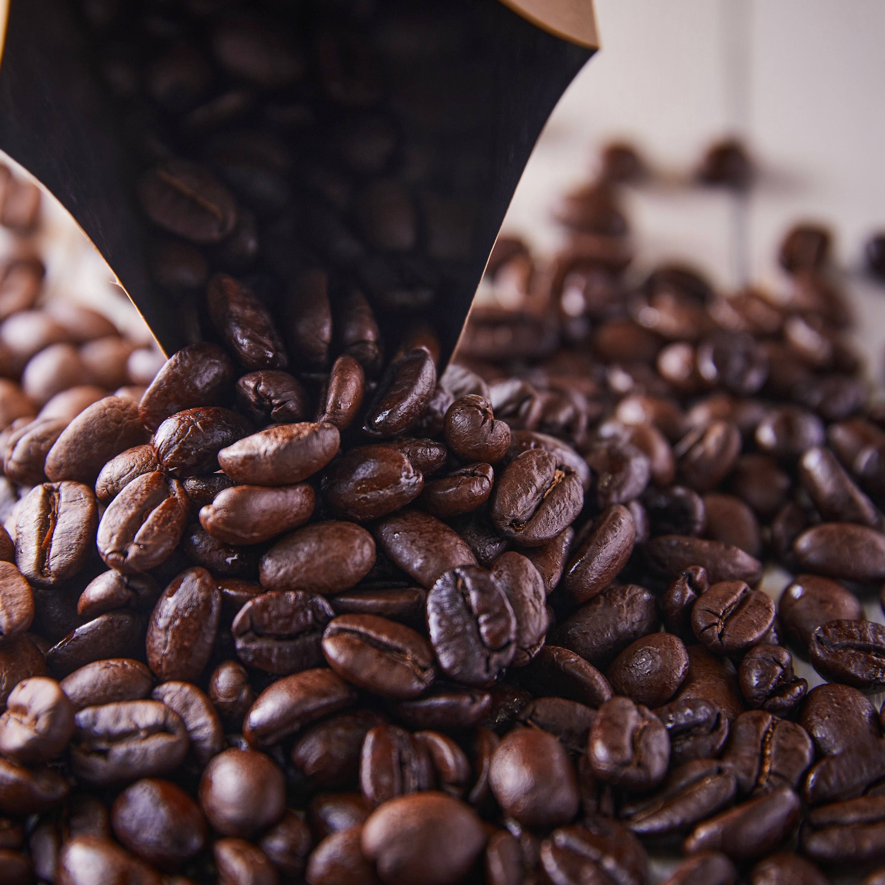 世界の色々コーヒー生豆 100グラムより販売します( ´ー`) - その他